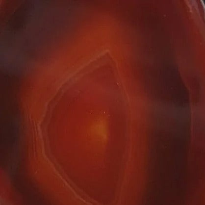 COLAR FOLHEADO A OURO